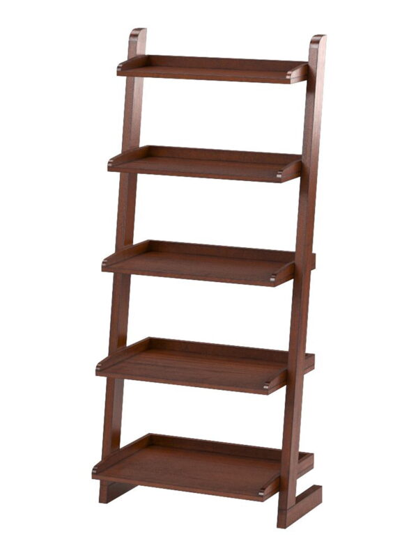 Furniture of America Carley 5-Shelf Ladder Leaning Bookcase, Antique Oak