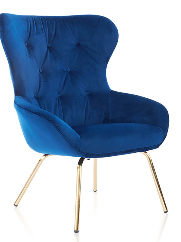 Furniture of America Jica Indoor Tufted Wingback Armchairs & Accent Chairs, Blue and Gold