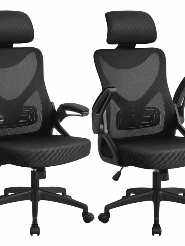 Renwick Set of 2 High Back Office Chair Computer Chair for Adult, Black