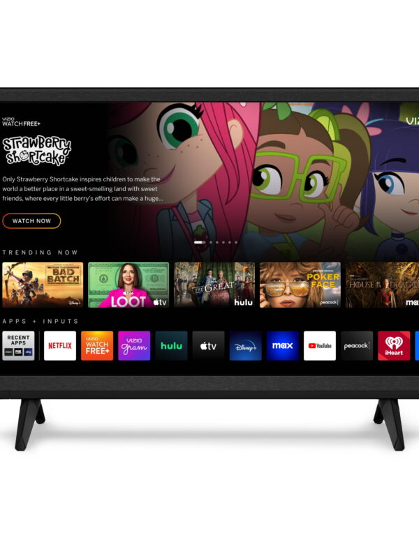 VIZIO 24" Class D-Series FHD LED Smart TV D24f-J09