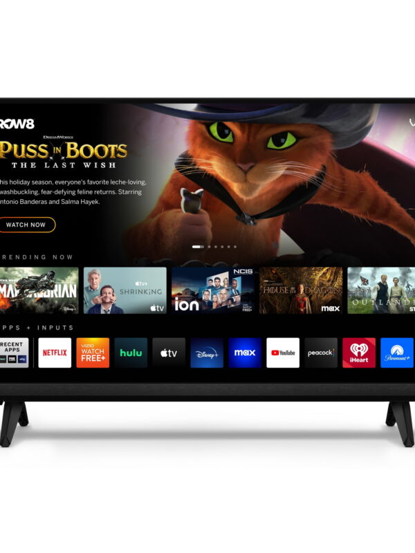 VIZIO 24" Class HDTV (1080p) Smart LED-LCD TV (D24FM-K01)