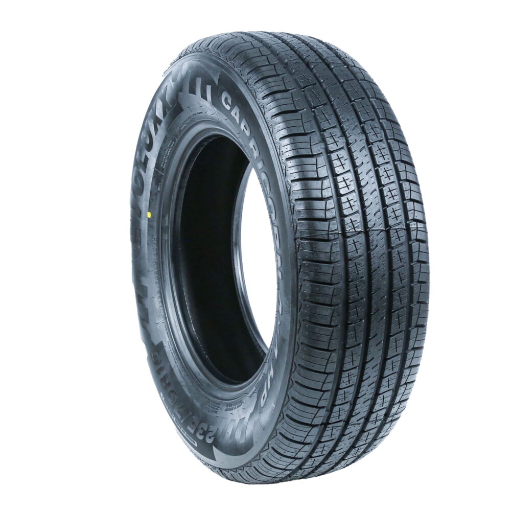 Evoluxx Capricorn 4X4 HP All Season 255/60R19 109H Passenger Tire - Image 3