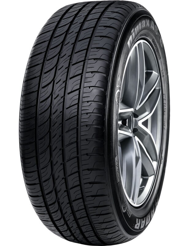 Radar Dimax AS-8 All Season 275/50R22 111H Passenger Tire