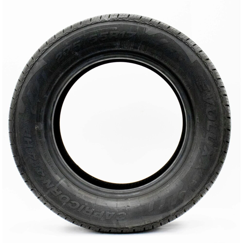 Evoluxx Capricorn 4X4 HP All Season 255/60R19 109H Passenger Tire - Image 2